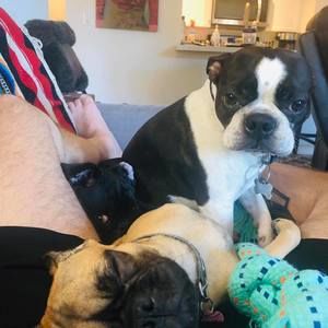 Meet your Posher, Matt